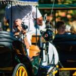 Visitas guiadas en coches de caballos en Sevilla
